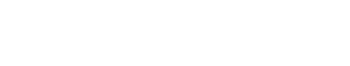 Drohnenreinigung Pfalz Logo